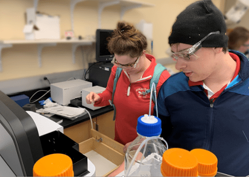 Students performing experiment