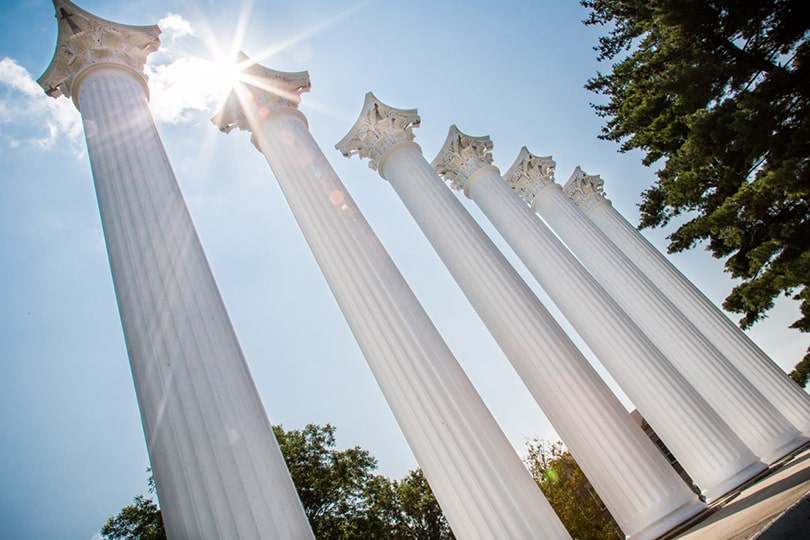 Westminster columns in the sunlight